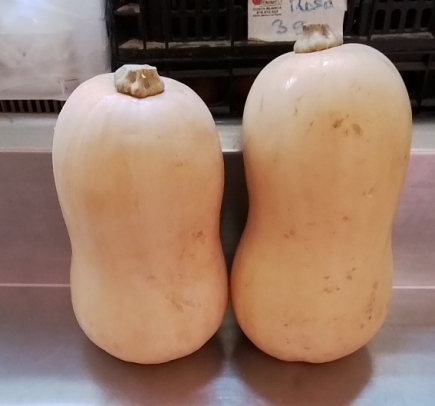 CALABAZA DE CACAHUETE (peso aprox.2.500gr/pieza)