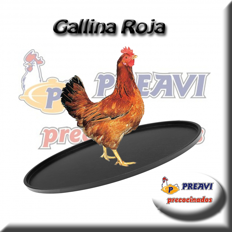 Gallina roja troceada