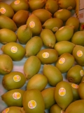 KIWI AMARILLO (peso aprox.150gr./pieza)