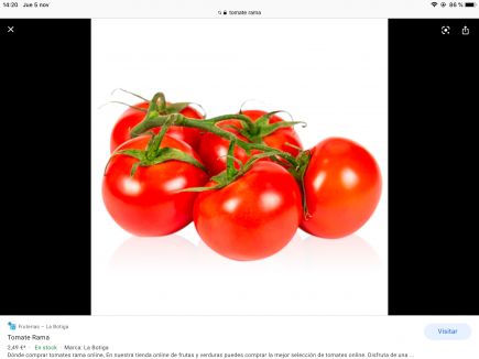 TOMATE  CHERRY 