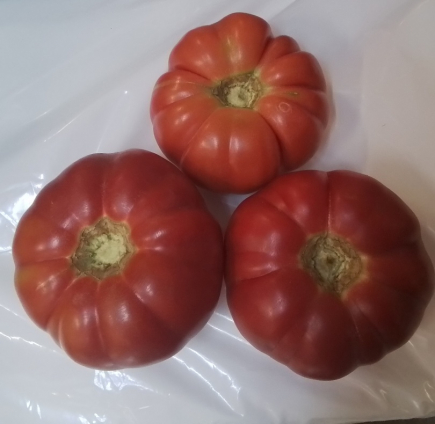 TOMATE ROSA de ALTEA 