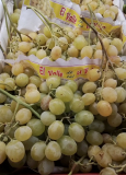 UVA Blanca  (con pepita) Maria