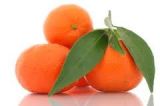 mandarina