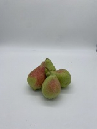 PERA DE ERCOLINA