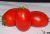 TOMATE DE PERA Conserva