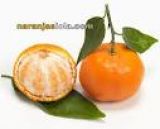 mandarina 