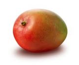 mango  madurado en el arbol 
