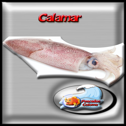 Calamar