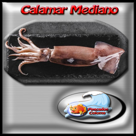 Calamar mediano