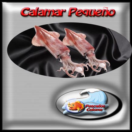 Calamar pequeño