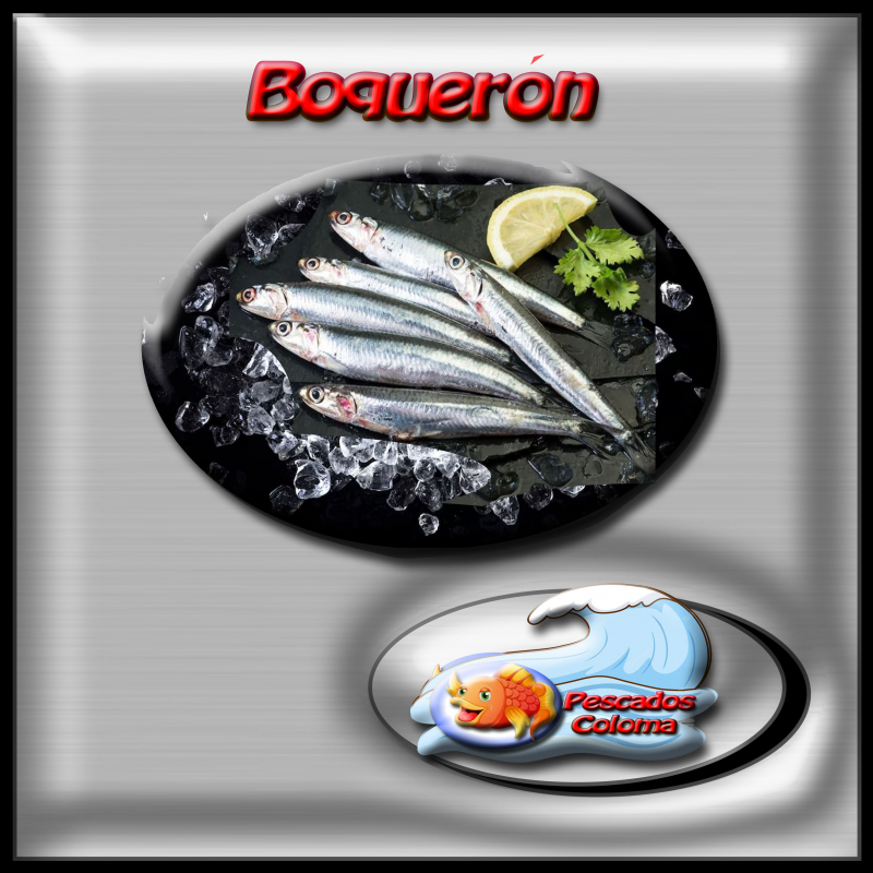 Boquerón