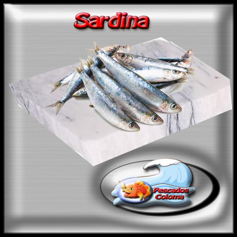 Sardina