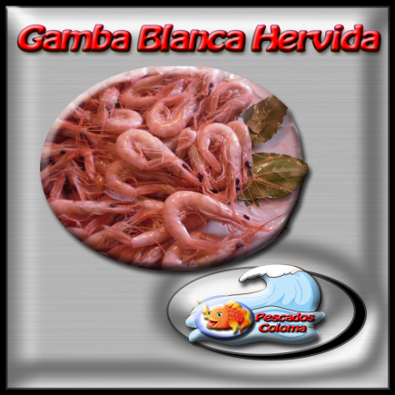 Gamba blanca hervida