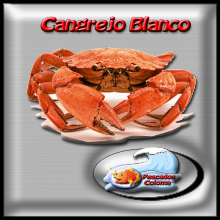 Cangrejo blanco