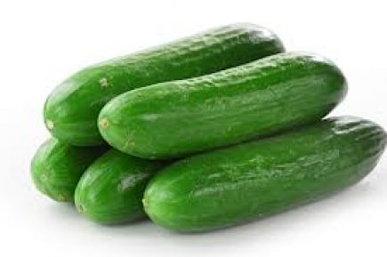 pepino  del terreno (cocentaina)
