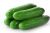 pepino del terreno (cocentaina)