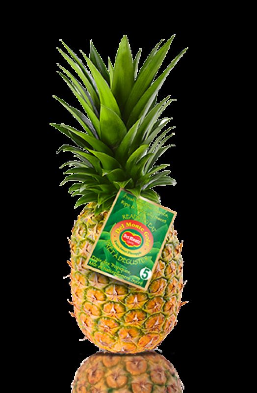 Piña del monte