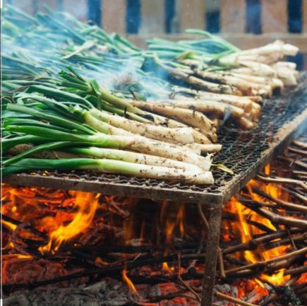 CALCOTS por encargo 3 días antes ( 25 unidades)