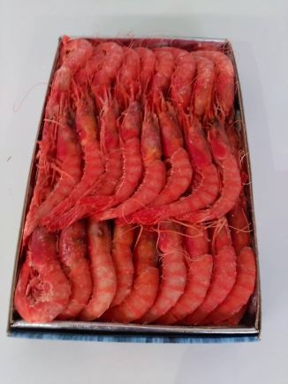 Gamba alistada arrocera 