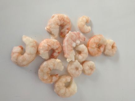 Gamba pelada cruda grande