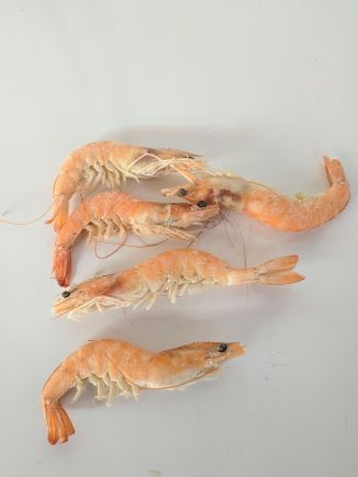 Langostino hervido grande 