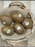 Kiwi iberico 