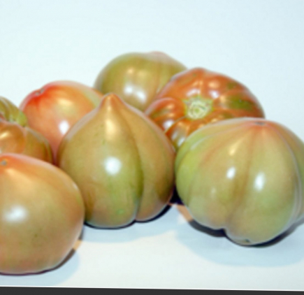 Tomate valenciano 