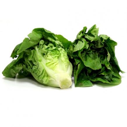 cogollos de lechuga