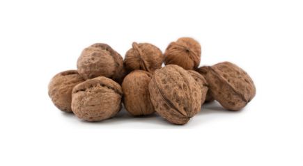 nueces nacional