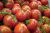 Tomate rojo pereta