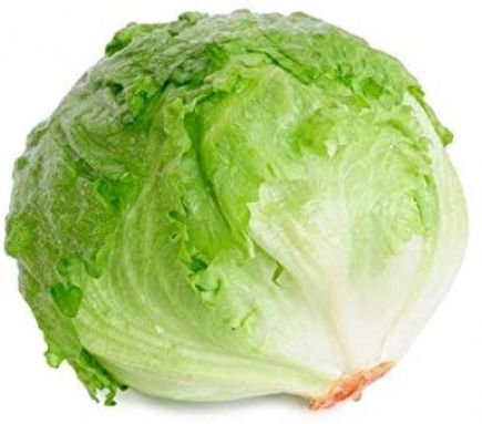 lechuga iceberg 