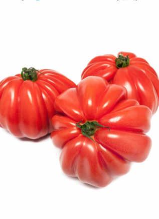 Tomate cor de bou