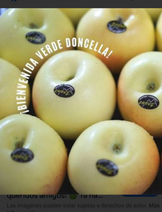 Manzana verde doncella 