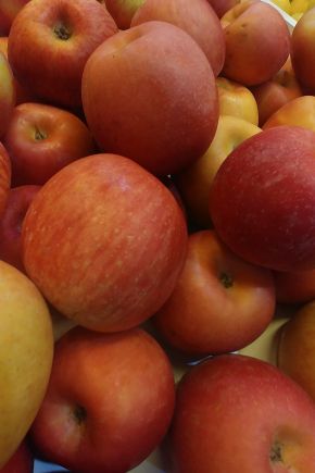 MANZANA FUJI MEDIANA