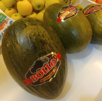 MELON BOLLO