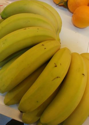 PLATANOS DE CANARIAS