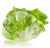 ensalada iceberg