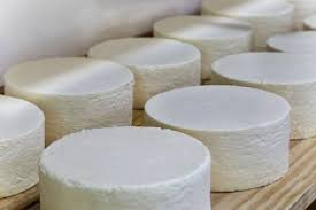 Queso fresco de vaca de San Antonio, peso aprox. 370 gr.