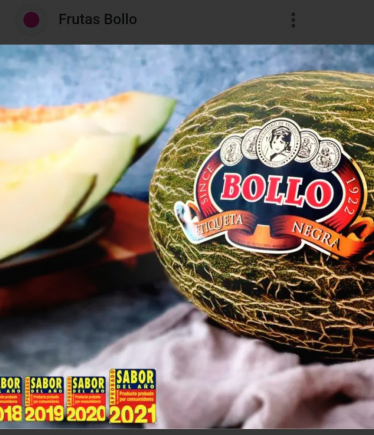 Melón bollo 