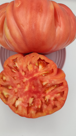 tomate rosa
