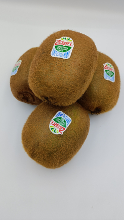kiwi   nueva zelanda