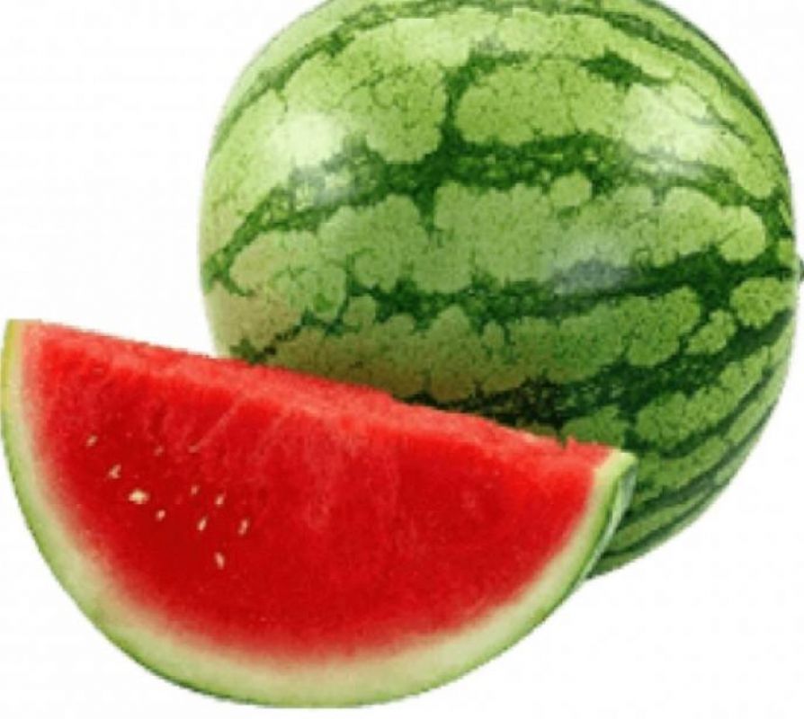 Sandia rayada