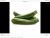 CALABACÍN VERDE ( peso aprox.390gr./pieza)