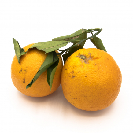 Taronja Taula
