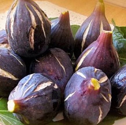 Higos Napolitanas del terreno (Higos negros)