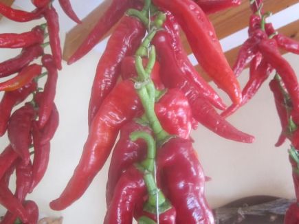 Pimiento enrrastrar (75gr. aprox. unidad)