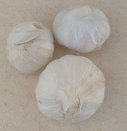 Ajos secos "Pedroñeras" (75 gr. aprox. cabeza) 