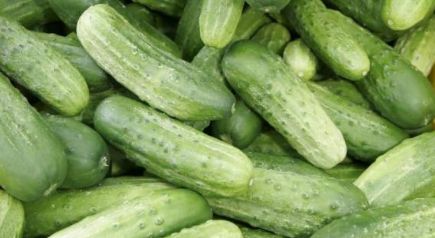pepino español del terreno (190 gr. aprox. unidad) 