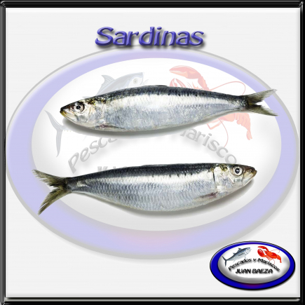 Sardinas