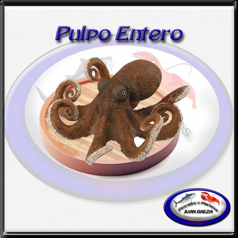 Pulpo entero